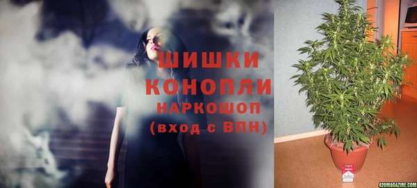 дживик Горняк