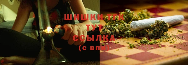 прущие грибы Горнозаводск