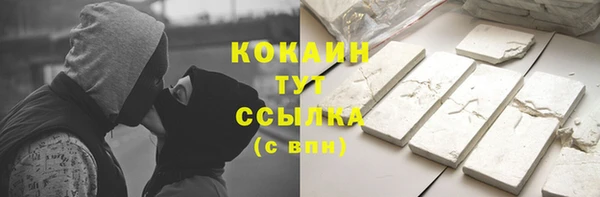 прущие грибы Горнозаводск