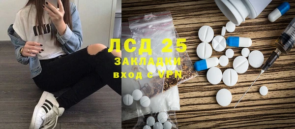 прущие грибы Горнозаводск