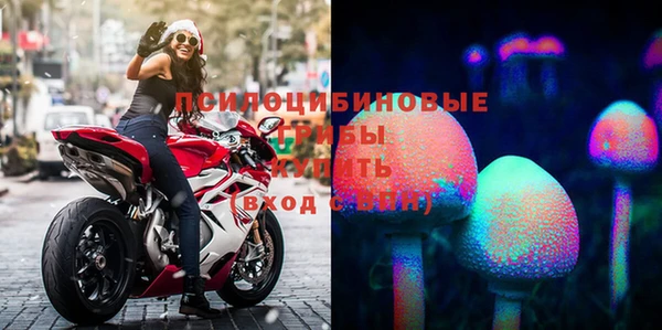 дживик Горняк