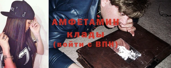 прущие грибы Горнозаводск