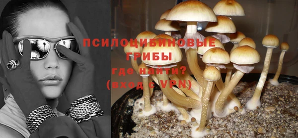 прущие грибы Горнозаводск