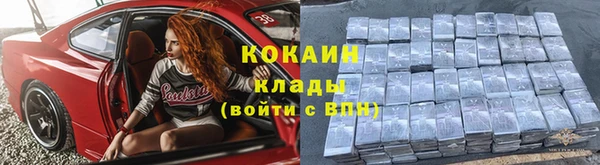дживик Горняк