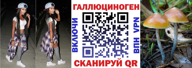 Купить где  Вуктыл  Галлюциногенные грибы Psilocybe 